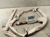 Roof airbag SH1270V718