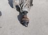 Front differential AV4N7L486BC