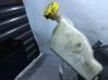 Master brake cylinder 