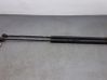 Tailgate/trunk strut/damper 873193