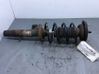 Priekinis amortizatorius 5202ZF