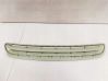 Front bumper lower grill 