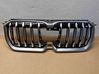 Maskownica / Grill / Atrapa górna chłodnicy 9880301