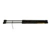 Tailgate/trunk strut/damper 904510001R