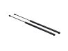 Tailgate/trunk strut/damper 904510002R