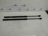 Tailgate/trunk strut/damper 