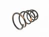 Front coil spring 