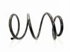 Front coil spring 