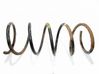 Front coil spring 
