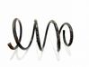 Front coil spring 