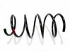 Front coil spring 