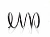 Front coil spring 