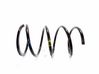 Front coil spring 