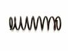 Front coil spring 
