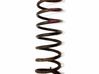 Front coil spring 