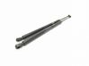Tailgate/trunk strut/damper 