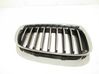 Front grill 