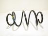 Front coil spring 