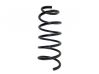 Front coil spring 