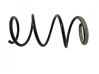 Front coil spring 