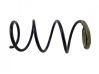 Front coil spring 