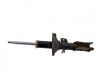 Front shock absorber/damper 