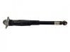 Rear shock absorber/damper 