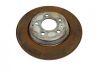 Rear brake disc 
