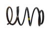 Front coil spring 