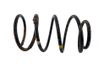 Front coil spring 