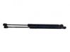 Tailgate/trunk strut/damper 