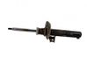Front shock absorber/damper 