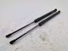 Tailgate/trunk strut/damper 