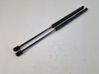 Tailgate/trunk strut/damper 1Q0827550B