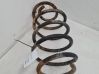 Front coil spring 