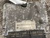 Engine control unit/module 0281001972