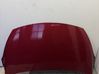 Engine bonnet/hood 