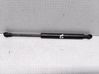 Tailgate/trunk strut/damper 1S71F406A10AB