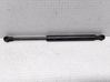 Tailgate/trunk strut/damper 1S71F406A10AB
