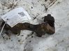 Front Brake Caliper Pad/Carrier 
