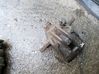 Caliper del freno trasero 