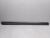 Front door trim (molding) 