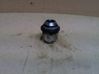 Nuts/bolts 