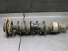 Rear shock absorber/damper 