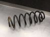 Muelle espiral trasero 