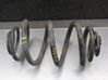 Rear coil spring 