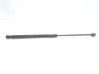 Tailgate/trunk strut/damper 8X4827552