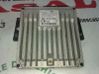 Engine control unit/module 391024X520
