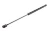 Tailgate/trunk strut/damper 8731H8