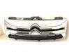 Front grill 1440172580